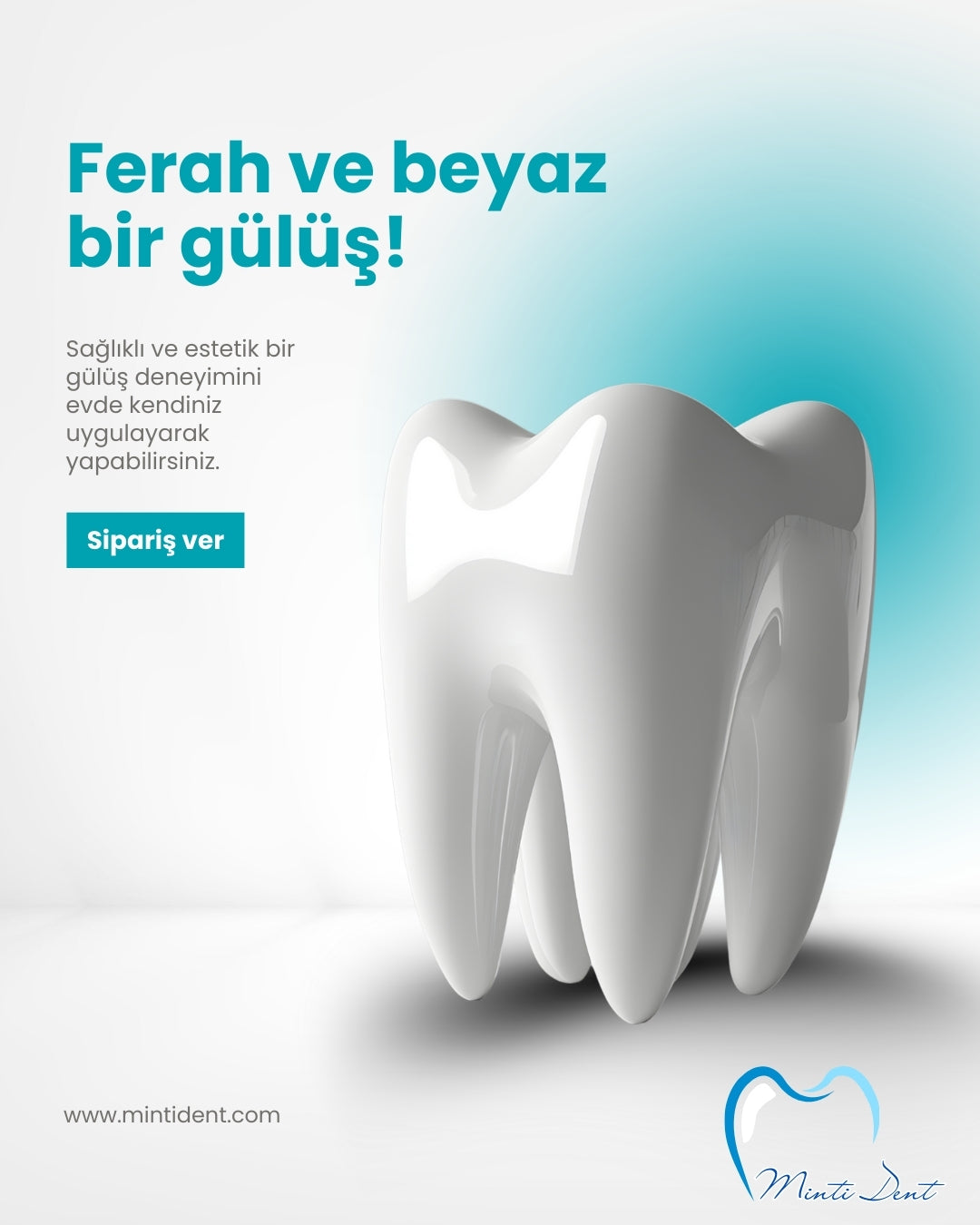 Mintident Takma Diş